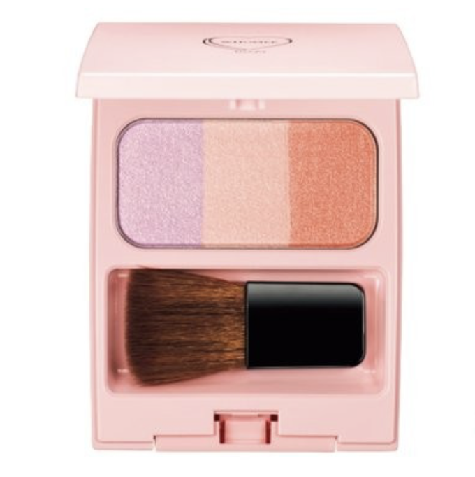 Top 3 in the cheek category, "Facio Multi Face Stick 18" takes the lead [Petit Plastic Cosmetics Grand Prix 2022]